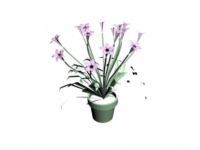 Download Kostenlose 3D-Modelle!