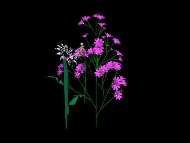 Download Kostenlose 3D-Modelle!