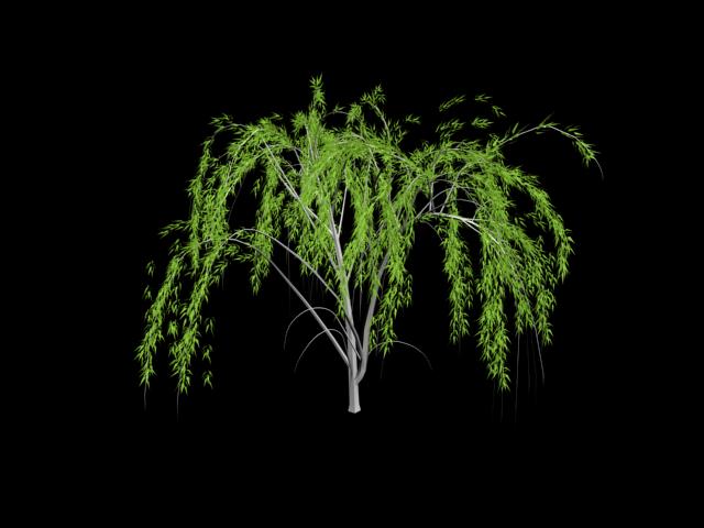 Download Kostenlose 3D-Modelle!