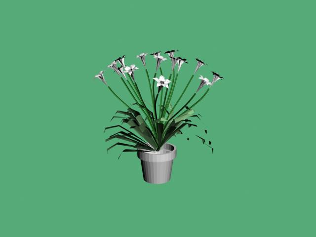 Download Kostenlose 3D-Modelle!