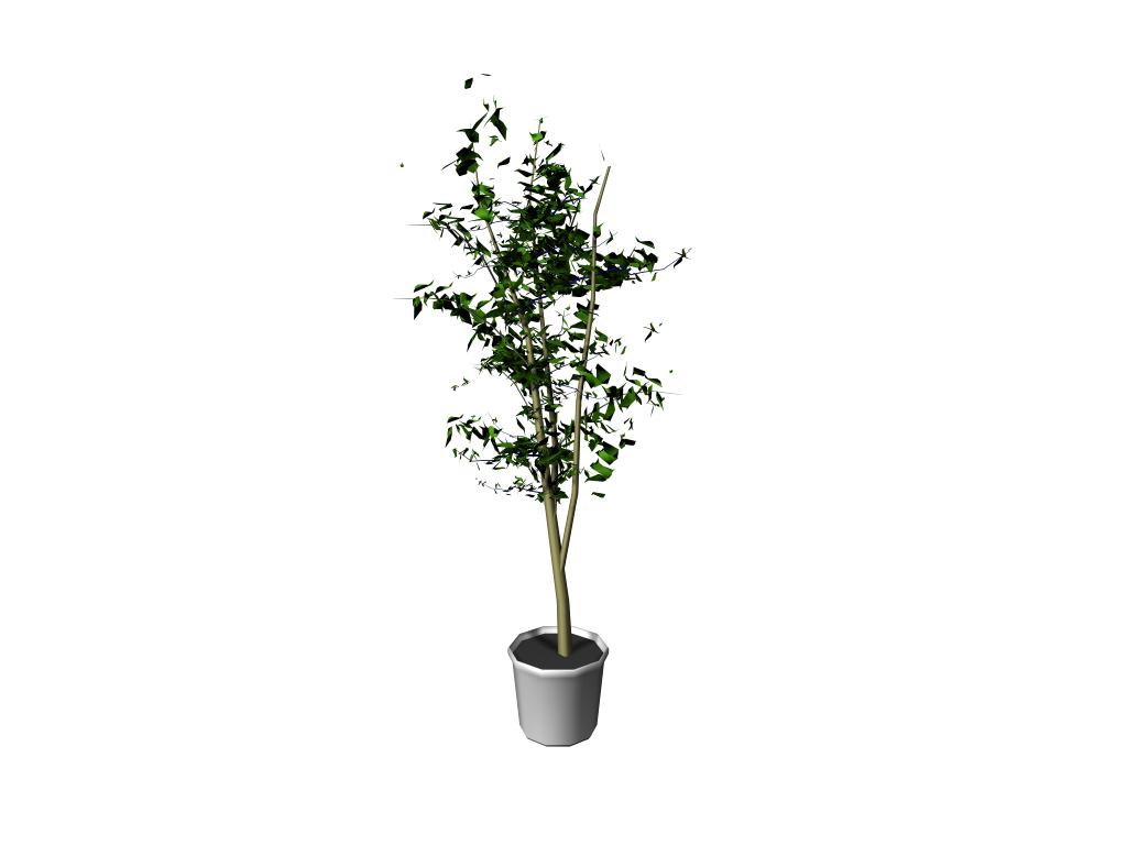 Download Kostenlose 3D-Modelle!