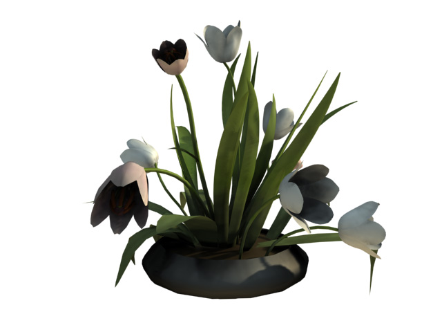 Download Kostenlose 3D-Modelle!