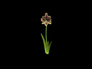 Download Kostenlose 3D-Modelle!