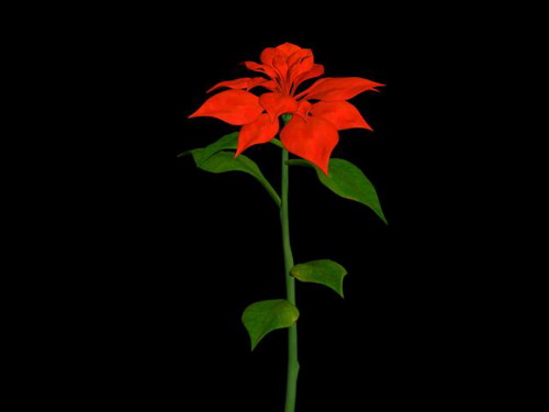 Download Kostenlose 3D-Modelle!