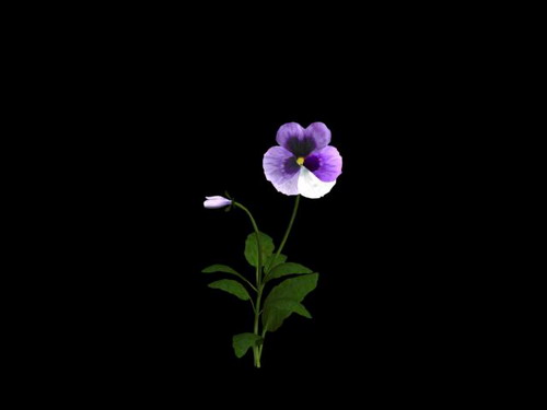 Download Kostenlose 3D-Modelle!
