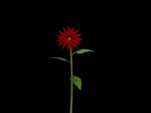 Download Kostenlose 3D-Modelle!