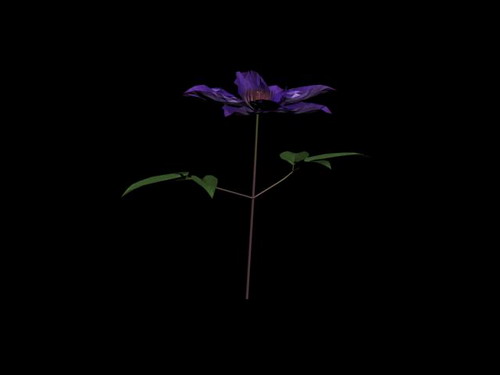 Download Kostenlose 3D-Modelle!