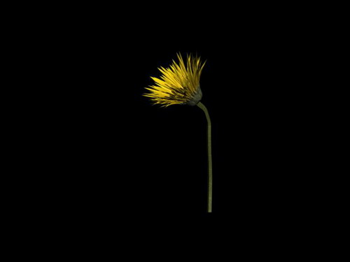 Download Kostenlose 3D-Modelle!