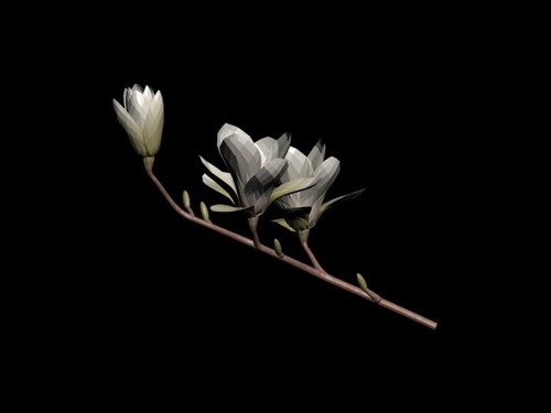 Download Kostenlose 3D-Modelle!