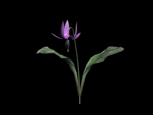 Download Kostenlose 3D-Modelle!
