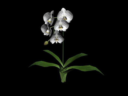 Download Kostenlose 3D-Modelle!