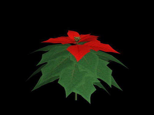 Download Kostenlose 3D-Modelle!