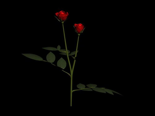 Download Kostenlose 3D-Modelle!