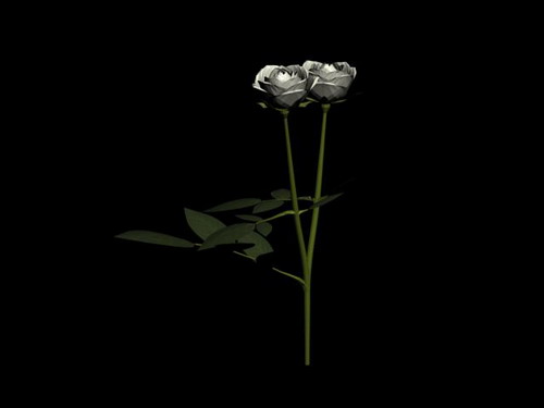 Download Kostenlose 3D-Modelle!