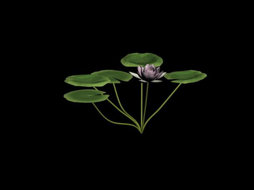 Download Kostenlose 3D-Modelle!