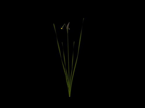 Download Kostenlose 3D-Modelle!