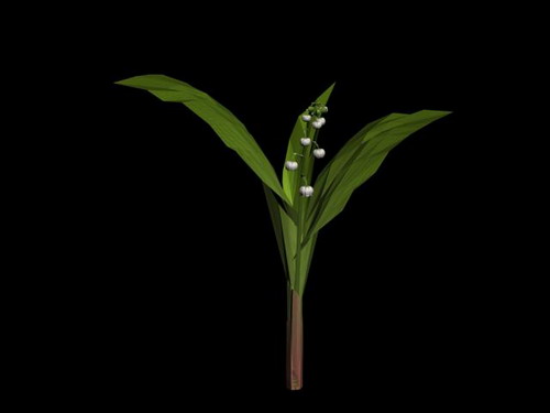 Download Kostenlose 3D-Modelle!