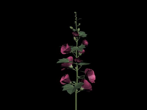 Download Kostenlose 3D-Modelle!