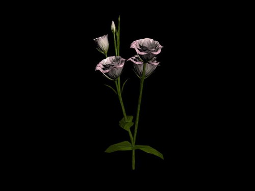 Download Kostenlose 3D-Modelle!
