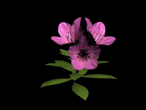 Download Kostenlose 3D-Modelle!