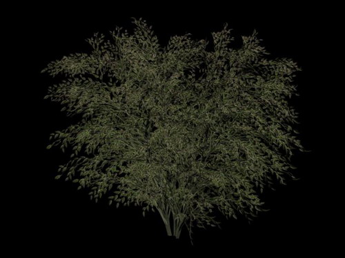 Download Kostenlose 3D-Modelle!