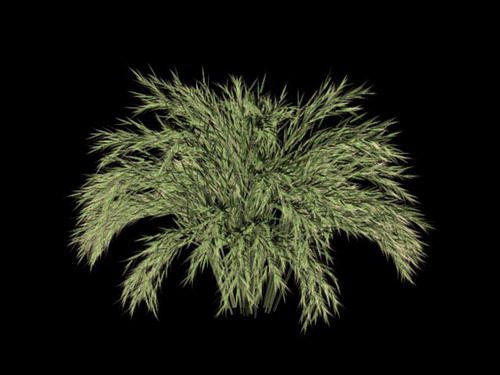 Download Kostenlose 3D-Modelle!