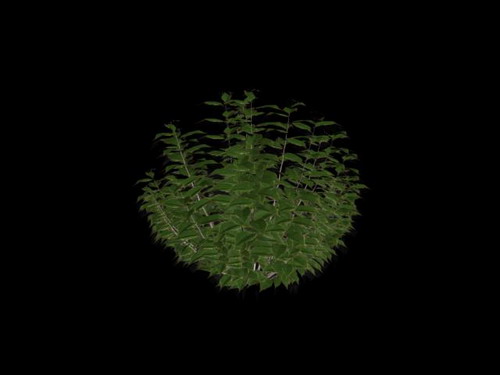 Download Kostenlose 3D-Modelle!