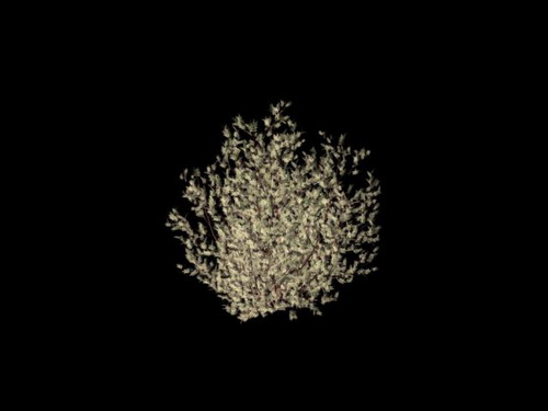 Download Kostenlose 3D-Modelle!