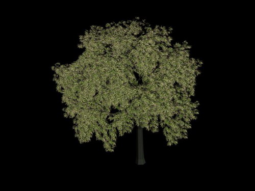 Download Kostenlose 3D-Modelle!