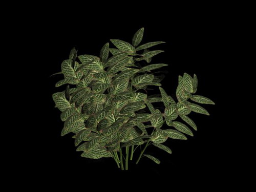 Download Kostenlose 3D-Modelle!