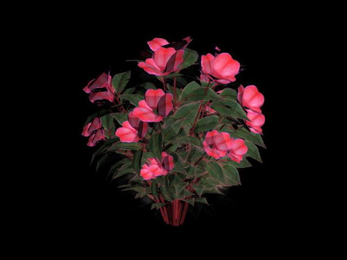 Download Kostenlose 3D-Modelle!
