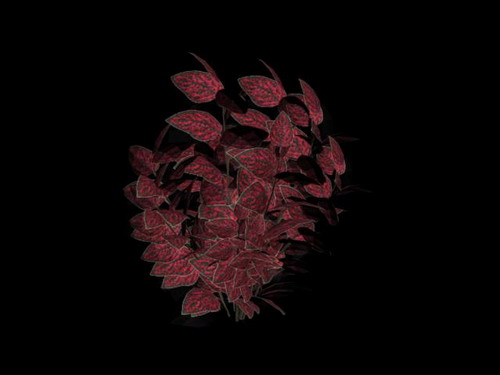 Download Kostenlose 3D-Modelle!