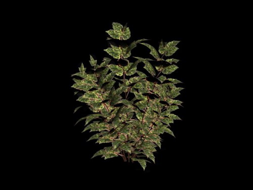 Download Kostenlose 3D-Modelle!