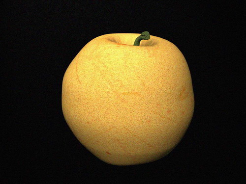 Download Kostenlose 3D-Modelle!