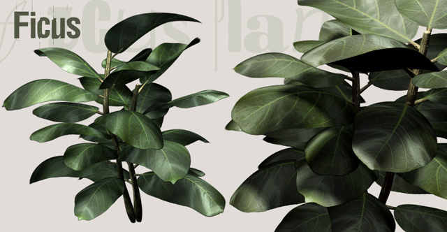 Download Kostenlose 3D-Modelle!