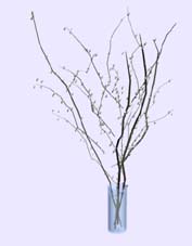Download Kostenlose 3D-Modelle!