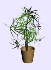 Download Kostenlose 3D-Modelle!