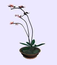 Download Kostenlose 3D-Modelle!