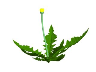 Download Kostenlose 3D-Modelle!