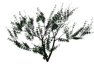 Download Kostenlose 3D-Modelle!