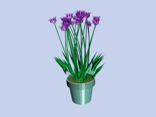 Download Kostenlose 3D-Modelle!